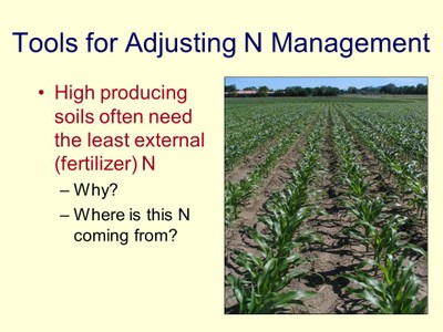 In-field N and P Evaluations