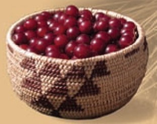 Webinar Preview Image