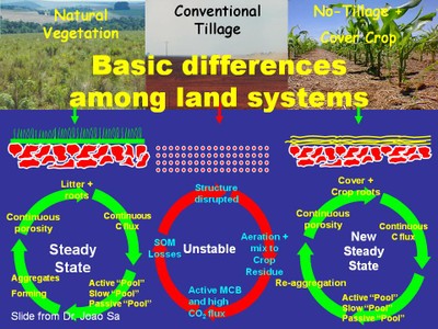 Understanding Soil Quality Impacts