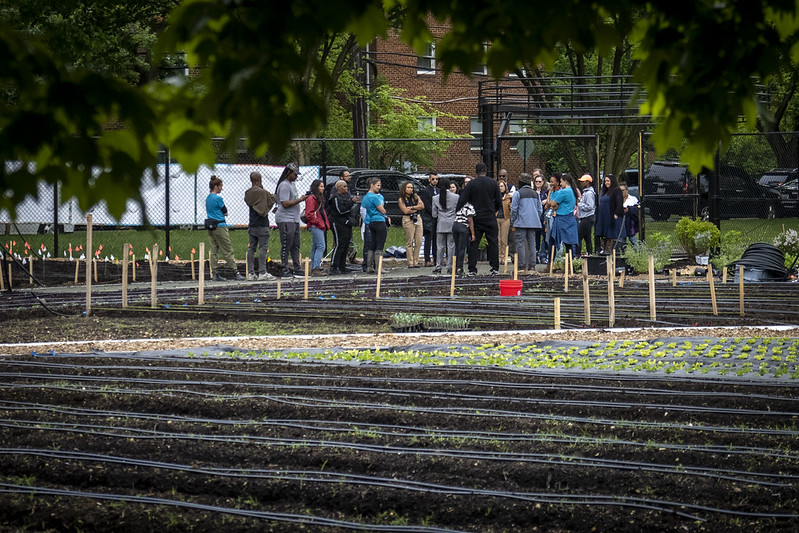 Webinar Preview Image