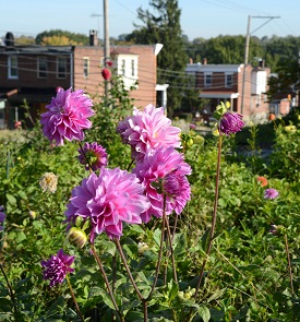 Webinar Preview Image