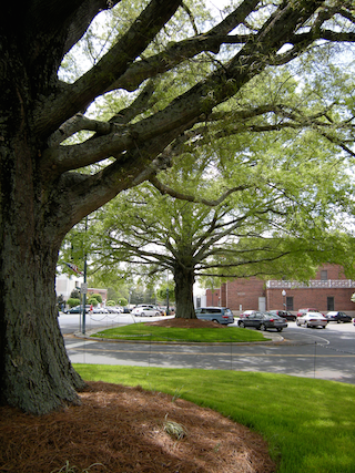 Webinar Preview Image