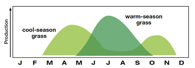 Grass Growth Curve image