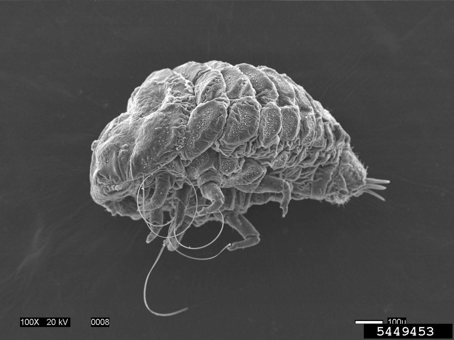 Webinar Preview Image