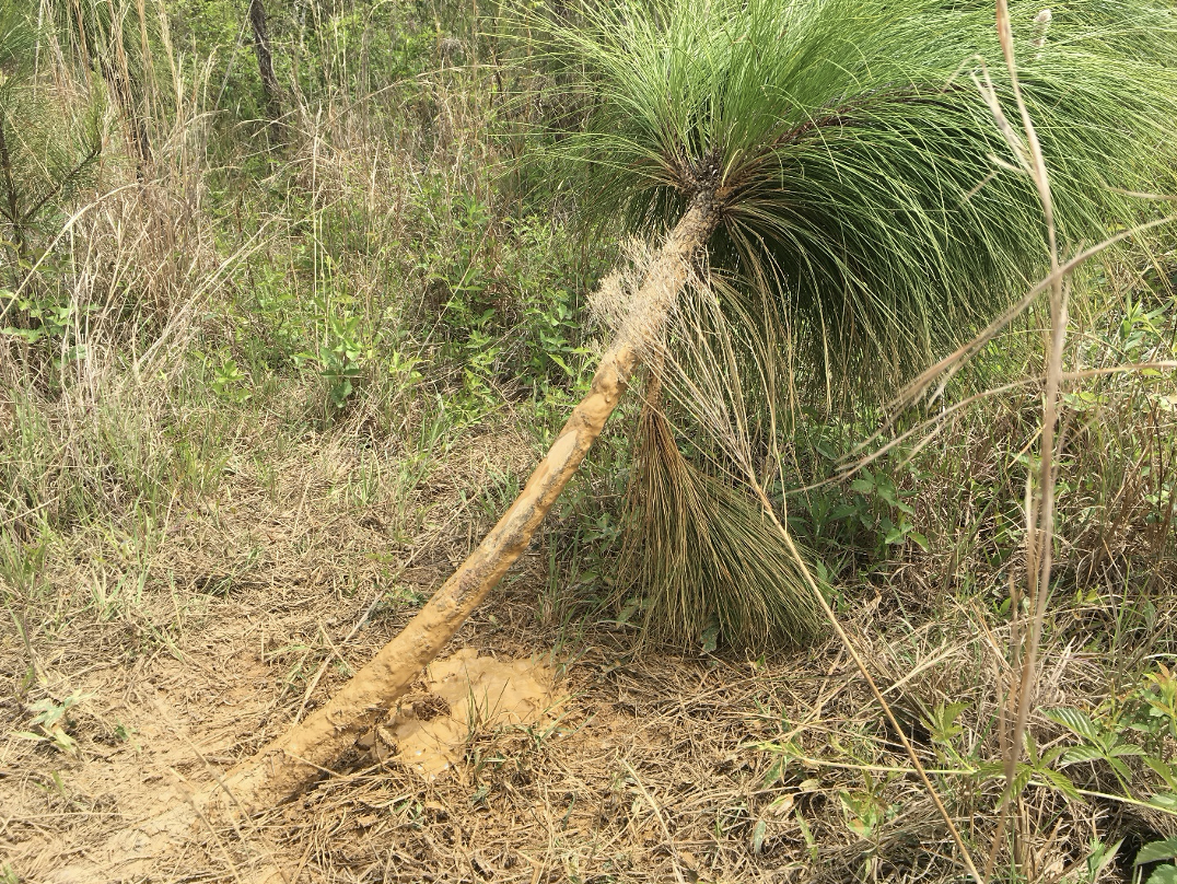 Webinar Preview Image