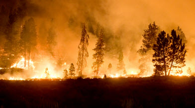 Webinar Preview Image