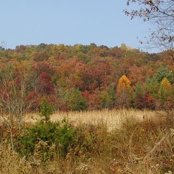 Webinar Preview Image