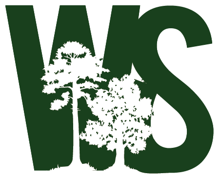 Webinar Preview Image