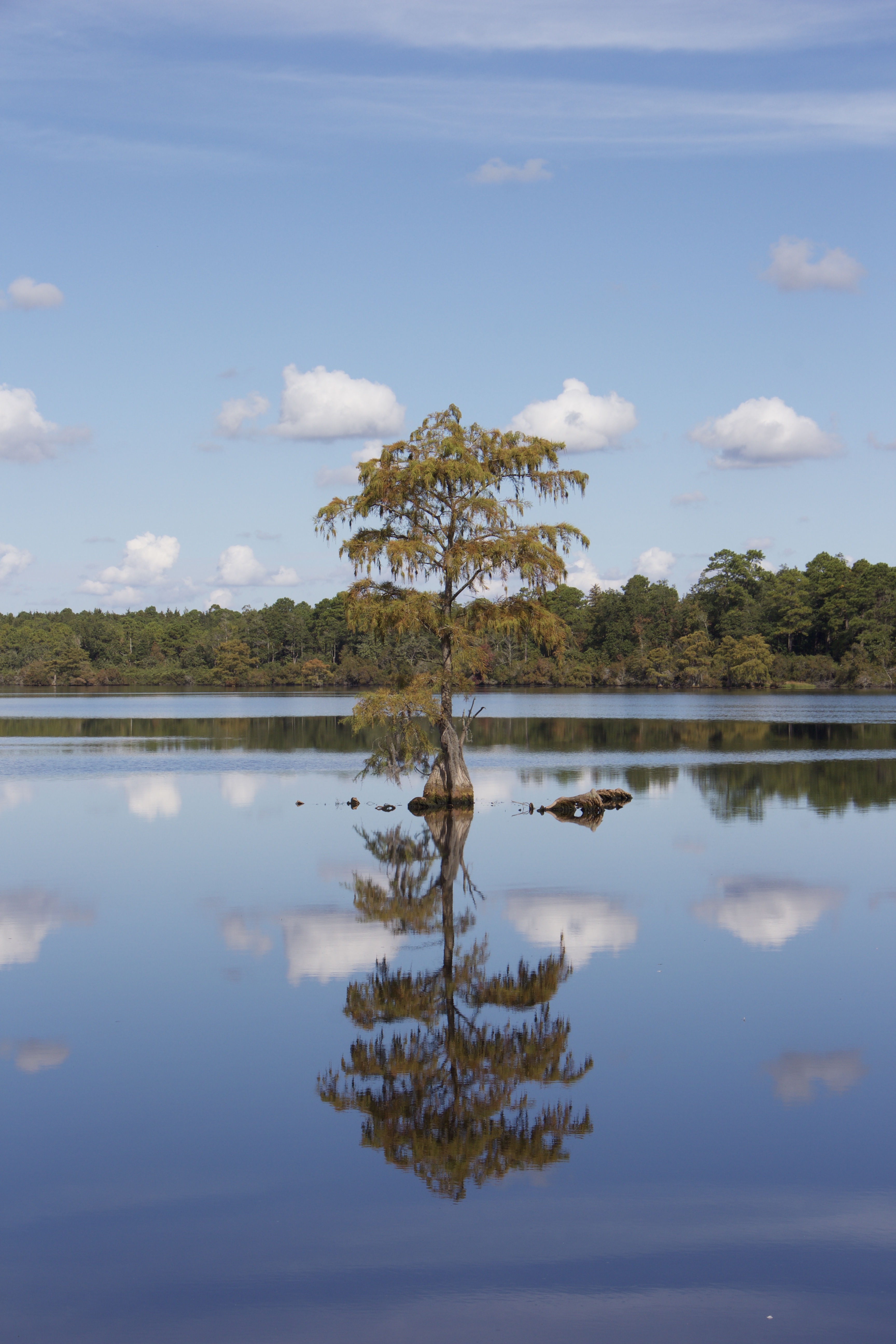 Webinar Preview Image