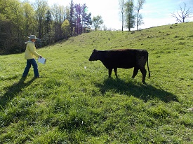 Webinar Preview Image